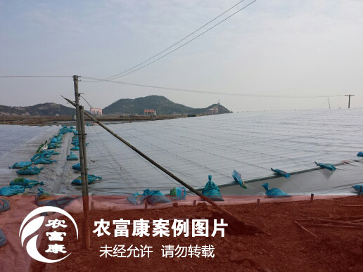 農富康水產(chǎn)養(yǎng)殖圖片