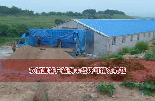 大連發(fā)酵床養(yǎng)豬用戶(hù)自制鋸末建造發(fā)酵床圖片